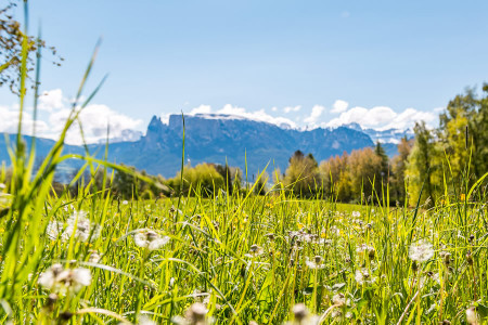 Vacanze primaverile su un maso sul Renon