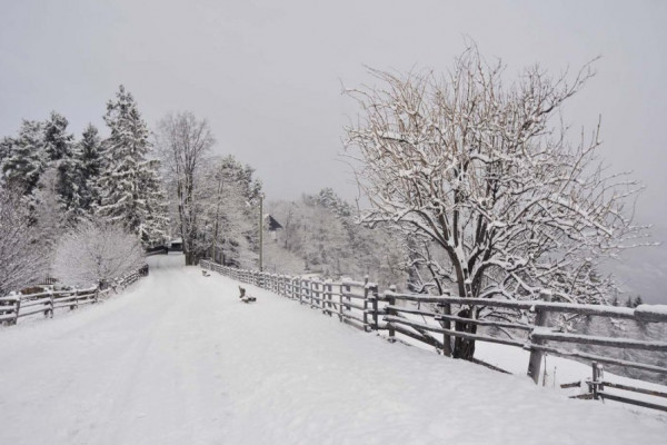 Ritten / Klobenstein