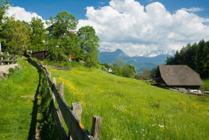 Die schönsten Wanderwege starten direkt von unserem Hof aus.