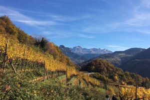 Genießen Sie den Herbst in Südtirol.