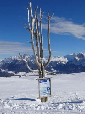Rielingerhof - Winter am Rittner Horn