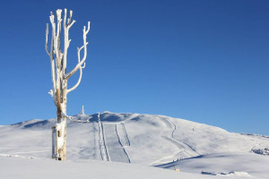 Sallrain-Hof - Rittner Horn